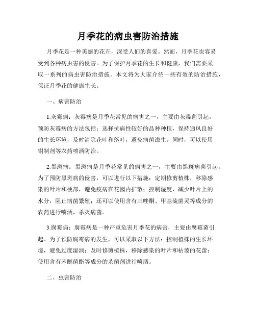 月季花的病虫害防治措施