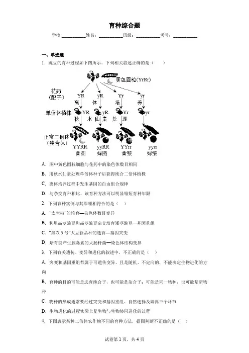 育种综合练习题带答案详解