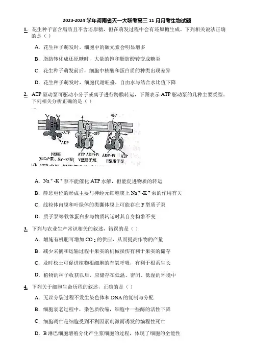 2023-2024学年河南省天一大联考高三11月月考生物试题