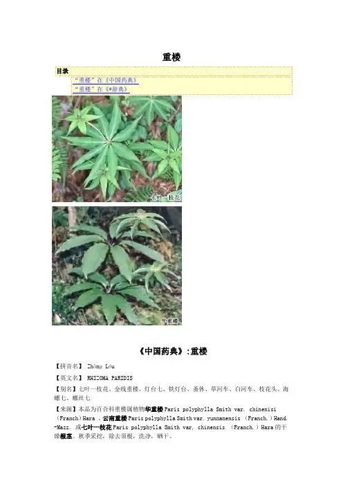 中药  重楼