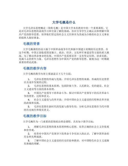大学毛概是什么