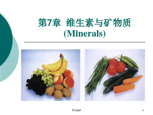 食品化学_第章_矿物质ppt课件