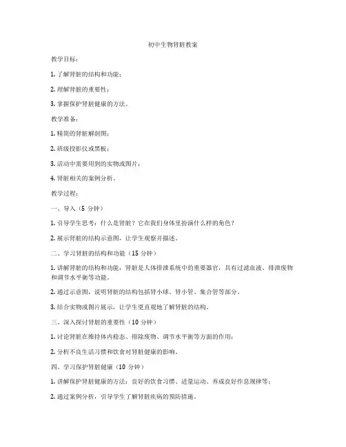 初中生物肾脏教案