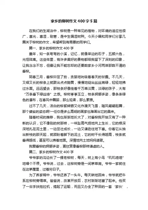 家乡的柳树作文400字5篇