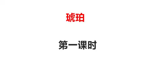 《琥珀》(完美版)PPT课件5