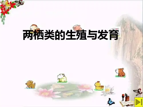 《两栖类的生殖与发育》 精选优质课件