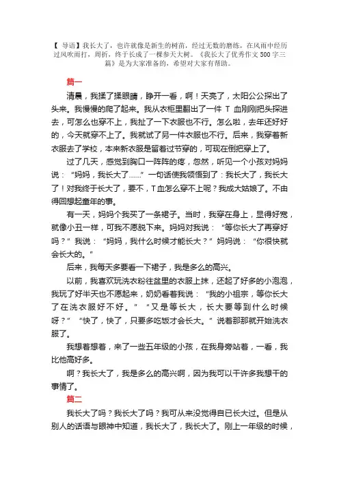 我长大了优秀作文500字三篇