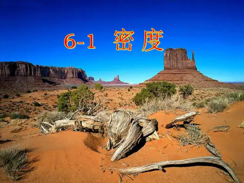 沪教版(上海)物理九年级第一学期6.1 密度课件