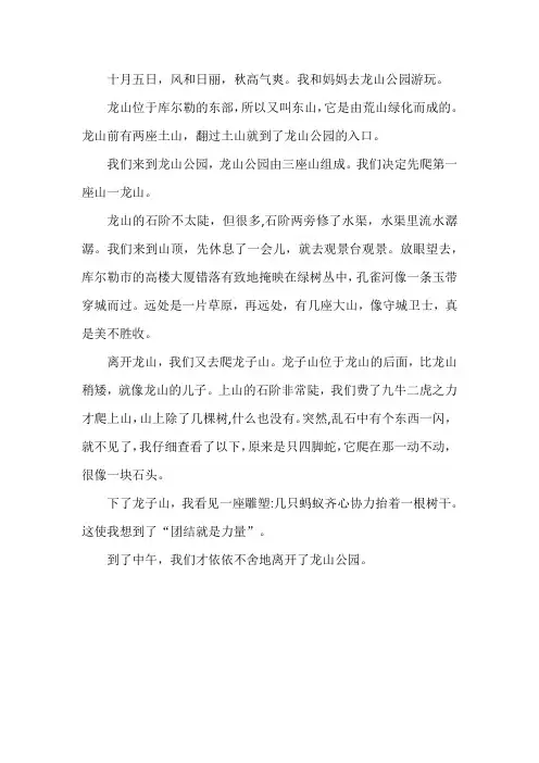 游记龙山公园作文400字