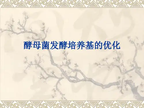 酵母菌发酵培养基优化要点