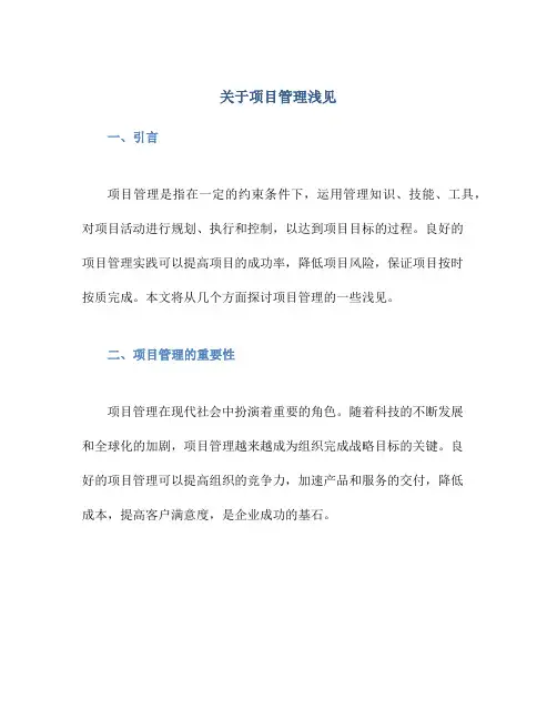关于项目管理浅见