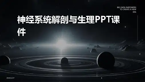 2024版神经系统解剖与生理PPT课件