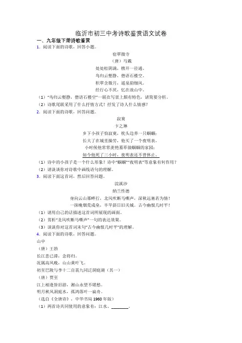 临沂市初三中考诗歌鉴赏语文试卷