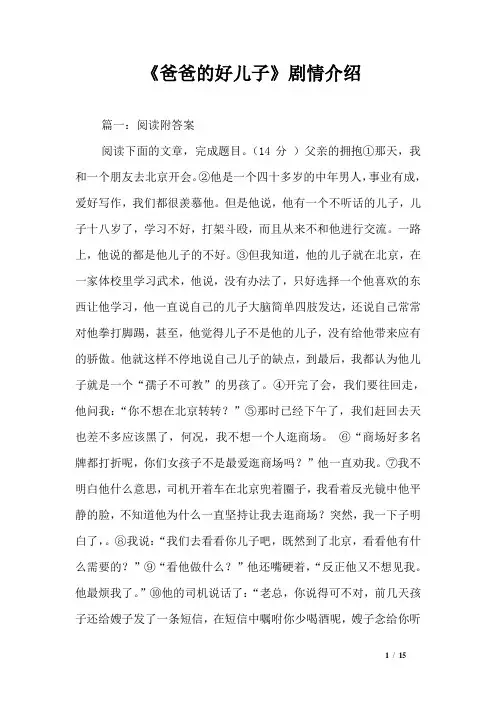 《爸爸的好儿子》剧情介绍