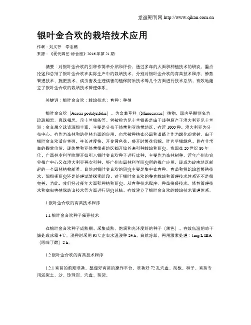 银叶金合欢的栽培技术应用