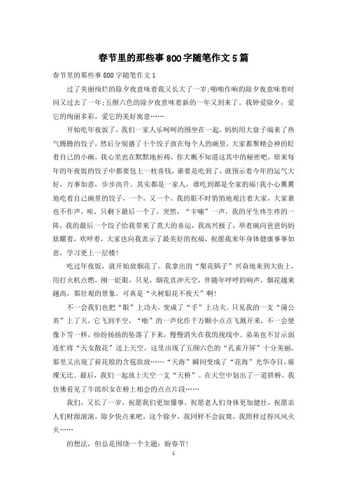 春节里的那些事800字随笔作文5篇