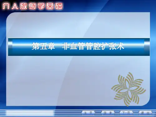非血管管腔扩张术 ppt课件