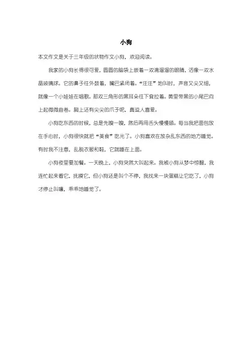 小学三年级状物作文：小狗_2