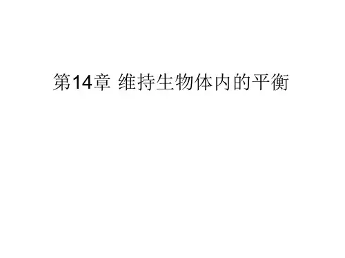 复习14章维持生物体内的平衡.ppt