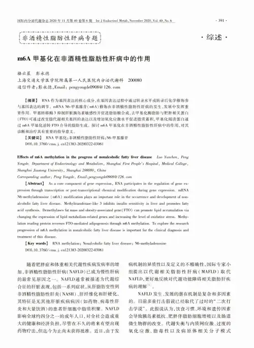 m6A甲基化在非酒精性脂肪性肝病中的作用