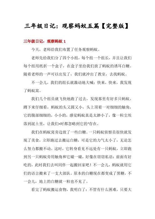 三年级日记：观察蚂蚁五篇【完整版】