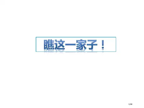 小升初英语专项讲解代词省公开课一等奖全国示范课微课金奖课件