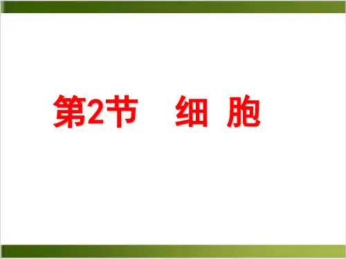 【浙教版】七年级上册科学2.2细胞(31张PPT课件)