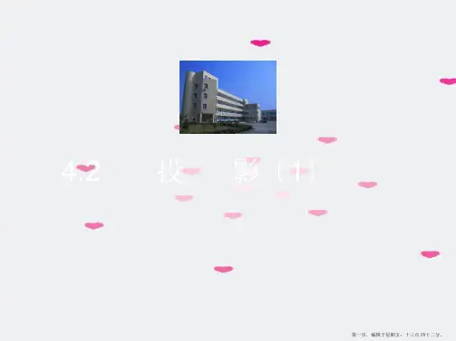 九年级数学下册 4.2投影(1)课件 浙教版