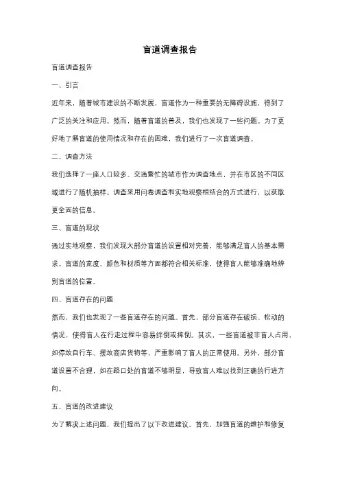 盲道调查报告