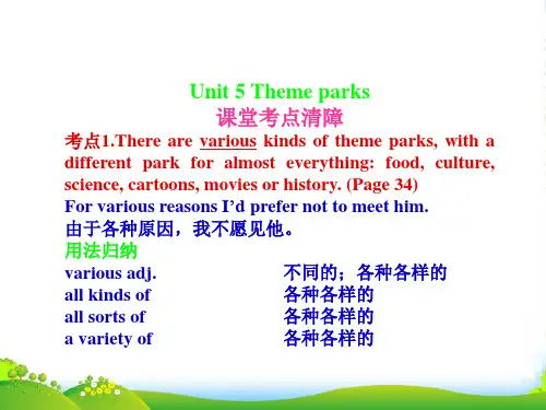 高考英语一轮复习 Unit5 Theme parks课件 新人教必修4