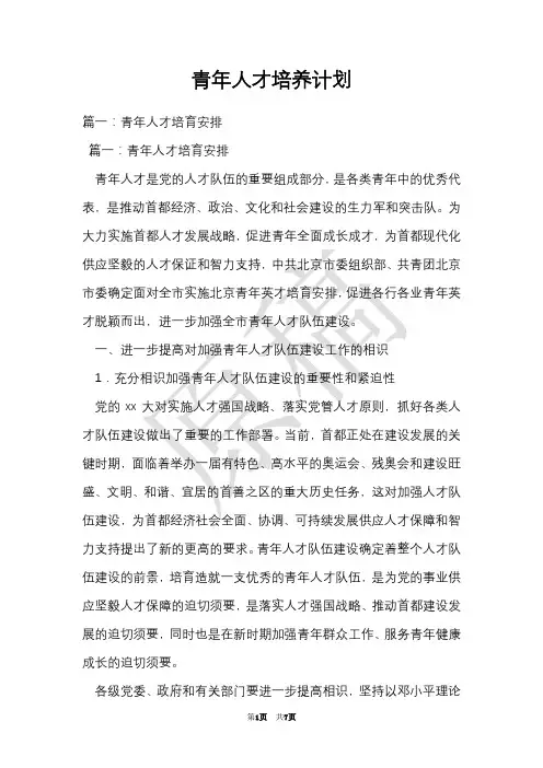 青年人才培养计划(Word最新版)