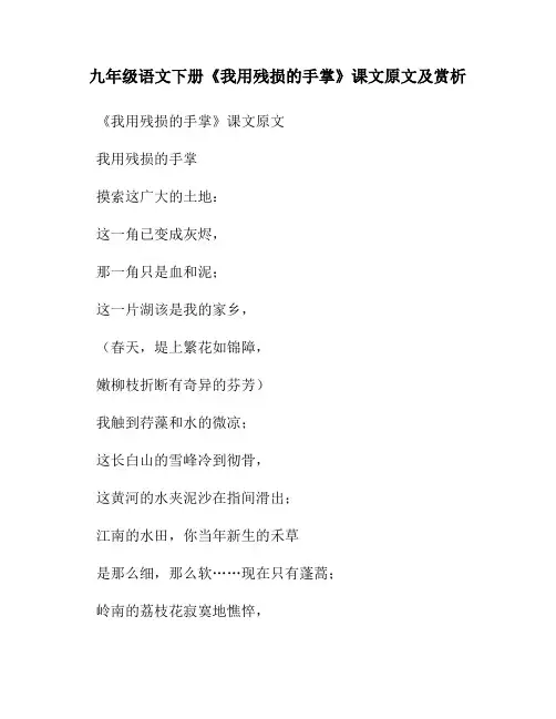 九年级语文下册《我用残损的手掌》课文原文及赏析