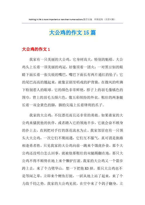 大公鸡的作文15篇