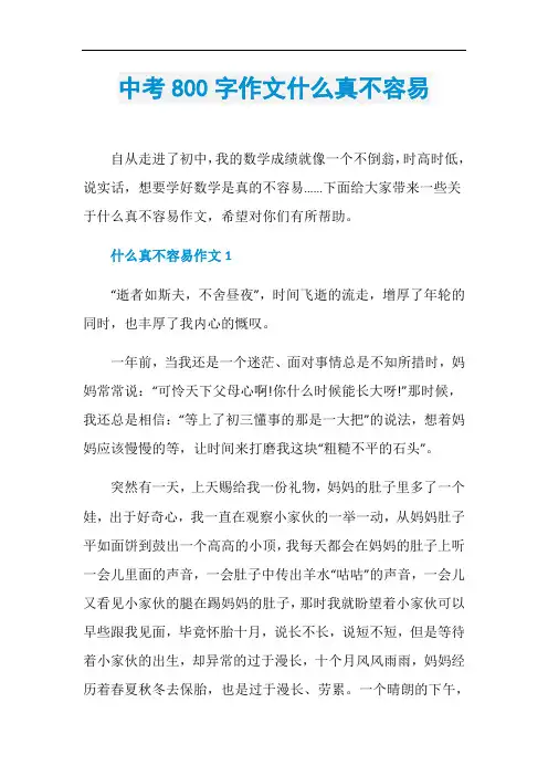 中考800字作文什么真不容易