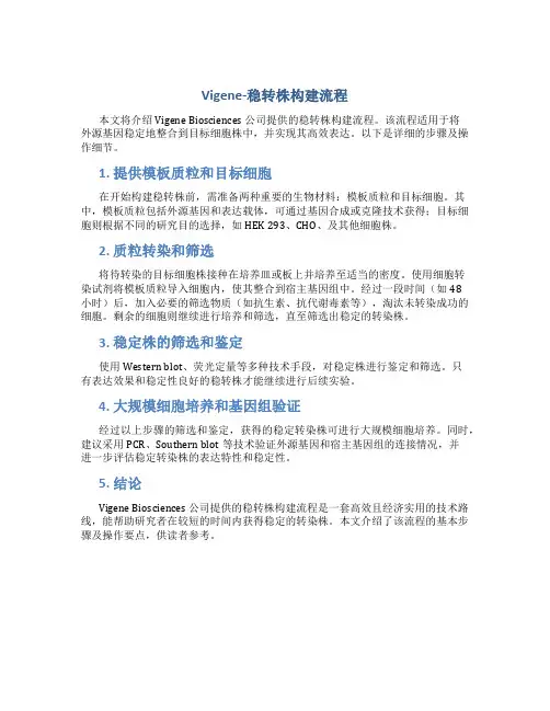 Vigene-稳转株构建流程