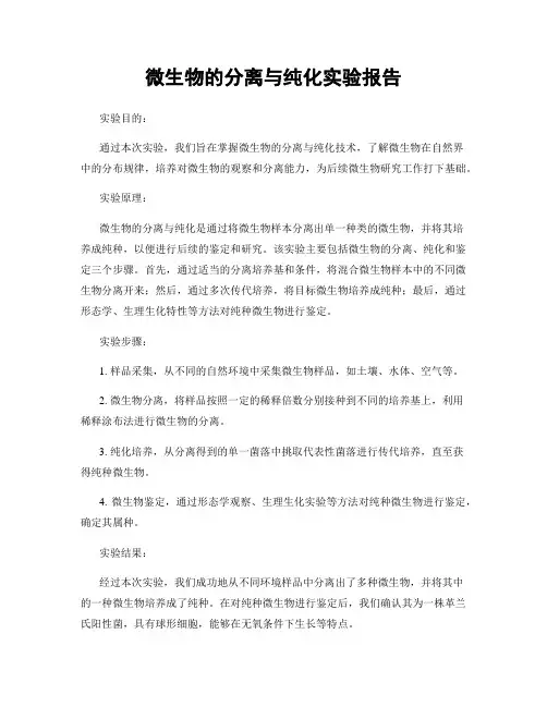 微生物的分离与纯化实验报告