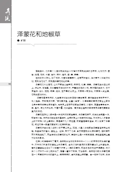 泽蒙花和地椒草