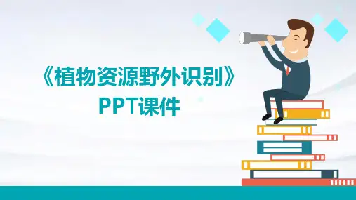 《植物资源野外识别》课件