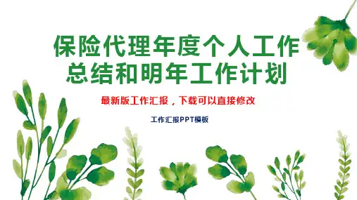 保险代理年度个人工作总结和明年工作计划PPT模板下载