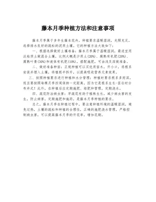 藤本月季种植方法和注意事项