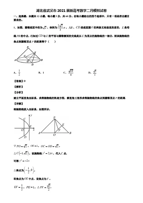 湖北省武汉市2021届新高考数学二月模拟试卷含解析