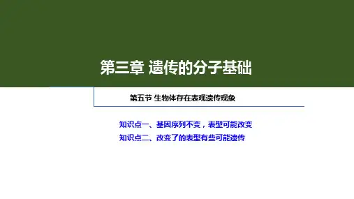 生物体存在表观遗传现象课件年高一下学期生物浙科版必修2