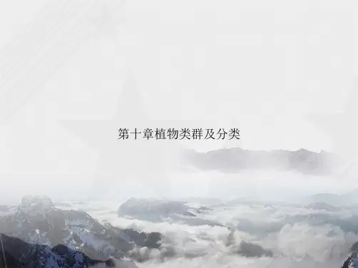 第十章植物类群及分类讲课文档