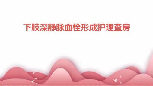 下肢深静脉血栓形成护理查房