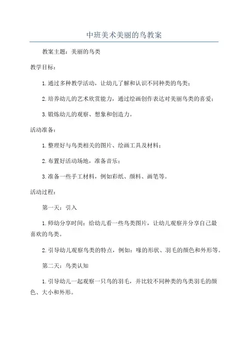 中班美术美丽的鸟教案