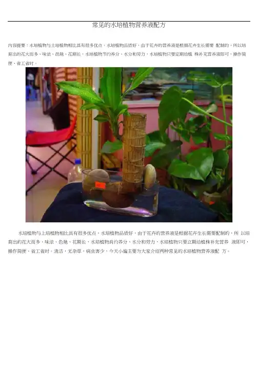 常见的水培植物营养液配方