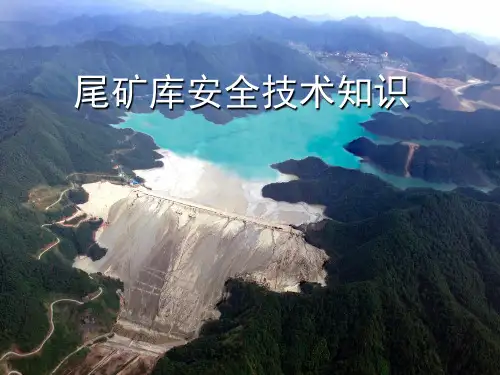 尾矿库安全技术知识--培训课件精品文档