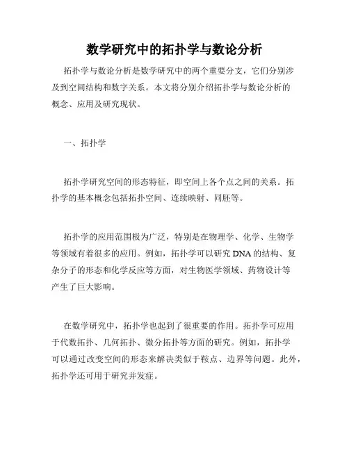 数学研究中的拓扑学与数论分析