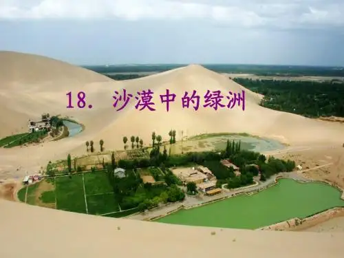 苏教版四年级下册《沙漠中的绿洲》PPT第一课时课件