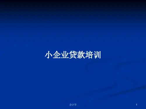 小企业贷款培训PPT学习教案